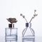 As garrafas de vidro claras recicladas do difusor/gravaram as garrafas de vidro da aromaterapia